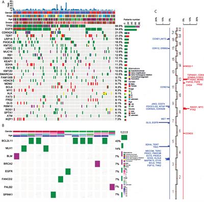 Comprehensive analyses of genomic features and mutational signatures in adenosquamous carcinoma of the lung